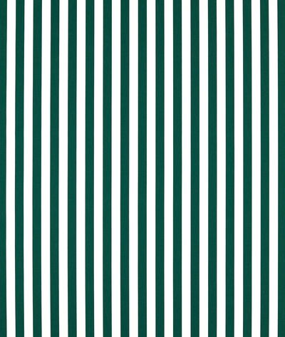 Clarke & Clarke Sicily Forest Fabric