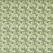 Clarke & Clarke Acanthus Apple/Sage Fabric