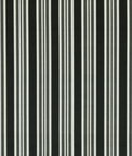 Clarke & Clarke Wilmott Ebony Fabric