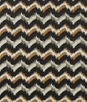 Clarke & Clarke Sagoma Noir Fabric