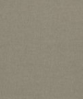 Clarke & Clarke Paradiso Ash Fabric