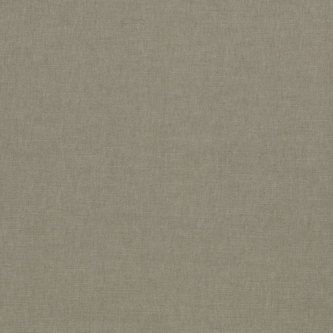 Clarke &amp; Clarke Paradiso Ash Fabric