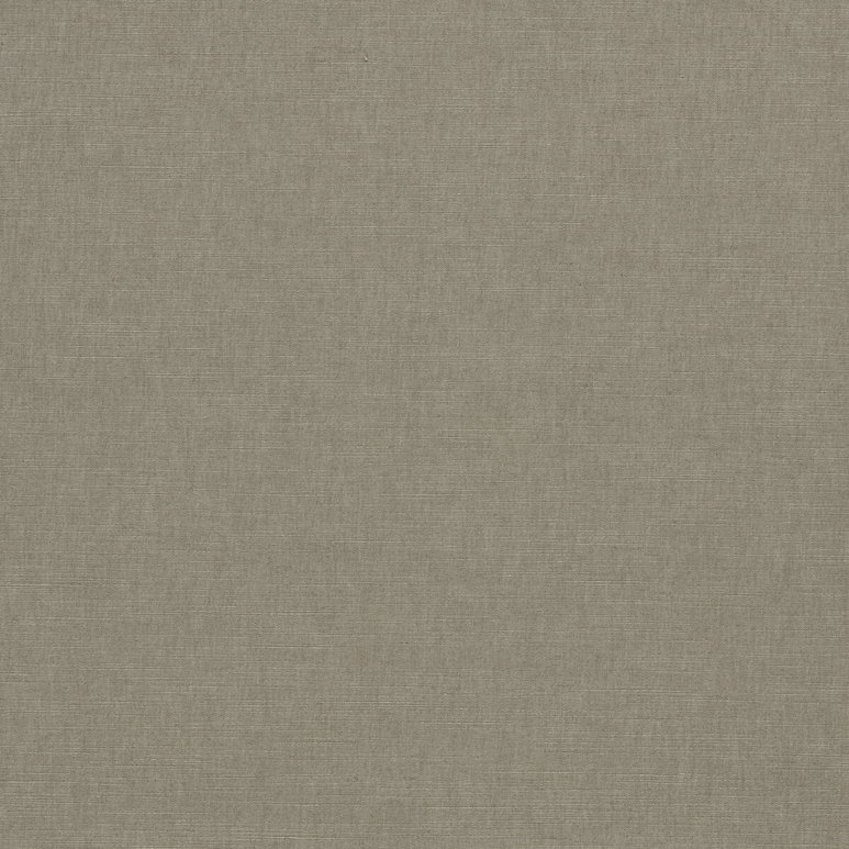Clarke &amp; Clarke Paradiso Ash Fabric