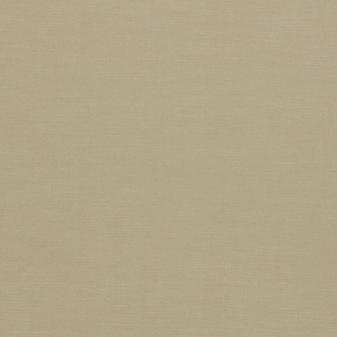 Clarke &amp; Clarke Paradiso Buff Fabric
