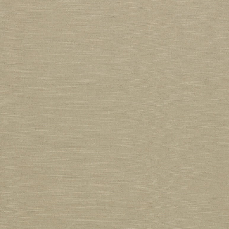 Clarke &amp; Clarke Paradiso Buff Fabric