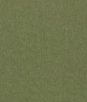 Clarke & Clarke Paradiso Olive Fabric
