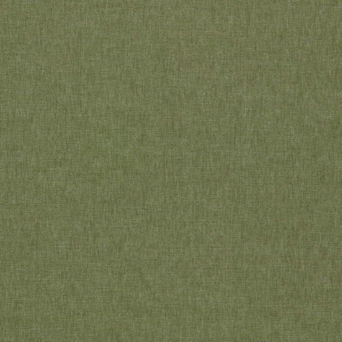 Clarke &amp; Clarke Paradiso Olive Fabric