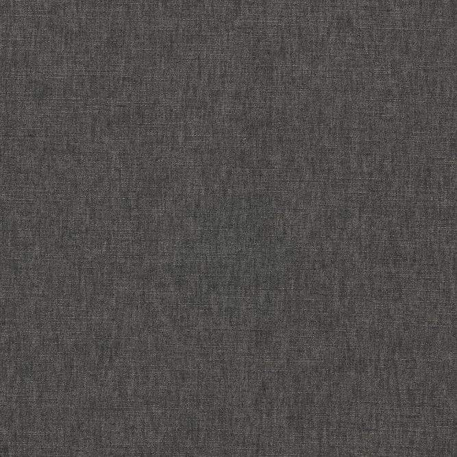 Clarke &amp; Clarke Paradiso Charcoal Fabric