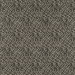 Clarke & Clarke Pokot Noir Fabric