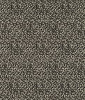 Clarke & Clarke Pokot Noir Fabric