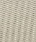 Clarke & Clarke Pano Pebble Fabric