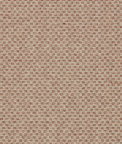 Clarke & Clarke Tecido Spice/Sage Fabric
