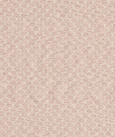 Clarke & Clarke Trelica Blush Fabric