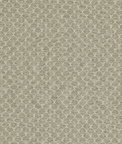Clarke & Clarke Trelica Natural Fabric