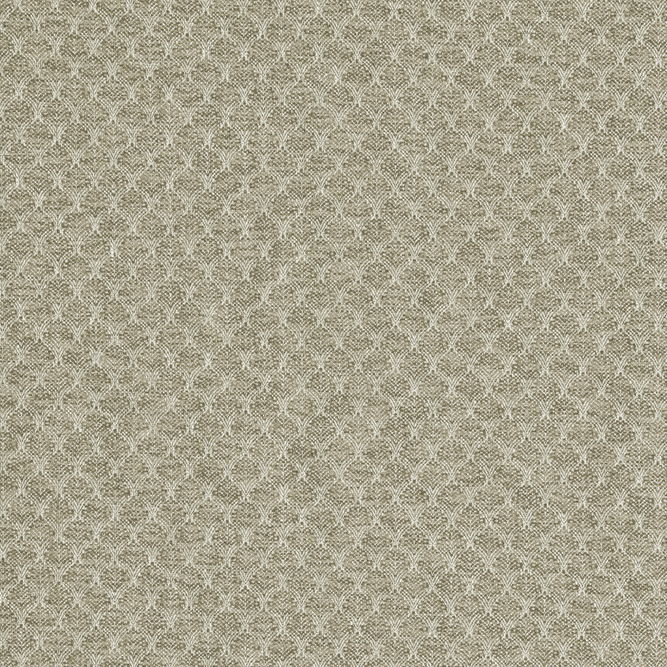 Clarke &amp; Clarke Trelica Natural Fabric