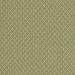 Clarke & Clarke Trelica Olive Fabric