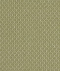 Clarke & Clarke Trelica Olive Fabric