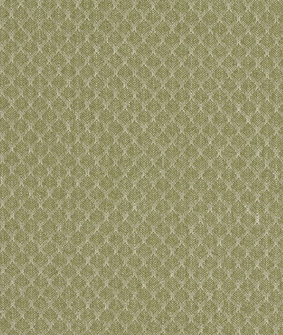 Clarke & Clarke Trelica Olive Fabric
