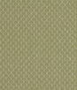 Clarke & Clarke Trelica Olive Fabric