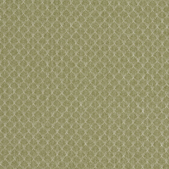 Clarke &amp; Clarke Trelica Olive Fabric