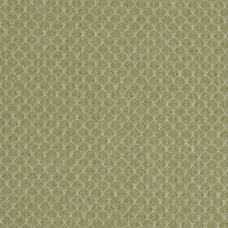 Clarke &amp; Clarke Trelica Olive Fabric