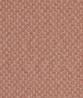 Clarke & Clarke Trelica Spice Fabric