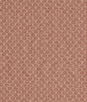 Clarke & Clarke Trelica Spice Fabric
