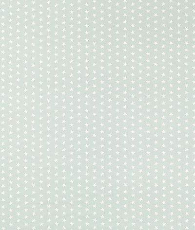 Clarke & Clarke Seastar Mineral Fabric