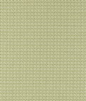 Clarke & Clarke Giverny Sage Fabric