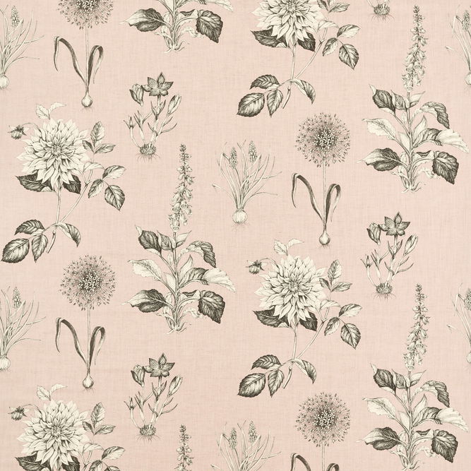 Clarke &amp; Clarke Roseraie Blush Fabric