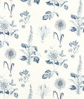 Clarke & Clarke Roseraie Midnight Fabric