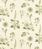 Clarke & Clarke Roseraie Sage Fabric