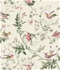 Cole & Son Hummingbirds Cotton Print Classic Multi Fabric
