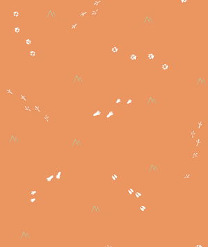 Seabrook Designs Follow the Leader Orange & White Wallpaper