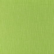 Premier Prints Faulkner Courtyard Green Slub Canvas Fabric