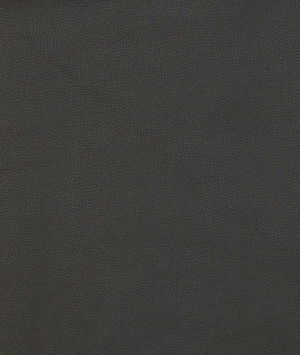 Kravet FAWN.8 Fabric
