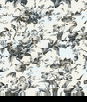 Seabrook Designs En Rose Poppy Seed Wallpaper
