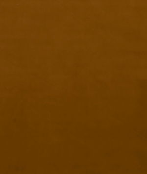 Mulberry Mulberry Velvet Sienna Fabric