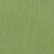 Sunbrella Spectrum Cilantro Fabric