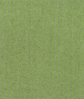 Sunbrella Spectrum Cilantro Fabric