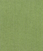 Sunbrella Spectrum Cilantro