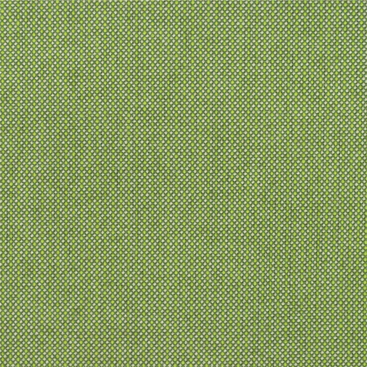 Sunbrella Spectrum Cilantro Fabric