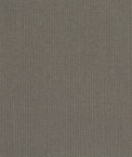Sunbrella Spectrum Graphite Fabric