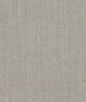 Sunbrella Spectrum Dove Fabric