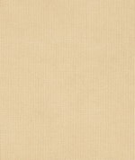 Sunbrella Shadow Sand