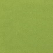 Sunbrella Canvas Ginkgo Fabric