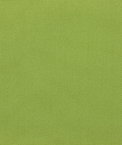 Sunbrella Canvas Ginkgo Fabric