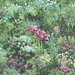 Seabrook Designs Floral Green & Violet Wallpaper