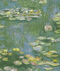 Seabrook Designs Lily Pads Greenery Wallpaper