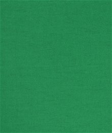 Green Flannel Fabric